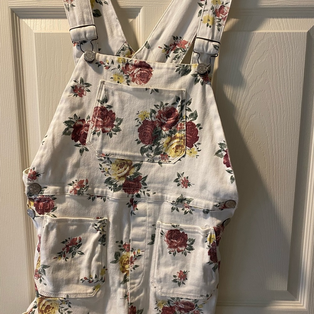 Urban Outfitters BDG Shorts Overalls